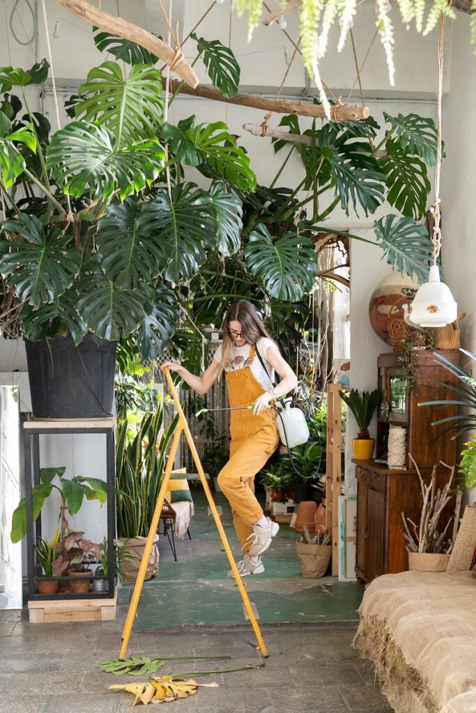 binnenplanten beschermen met aaltjes binnenplanten beschermen met aaltjes