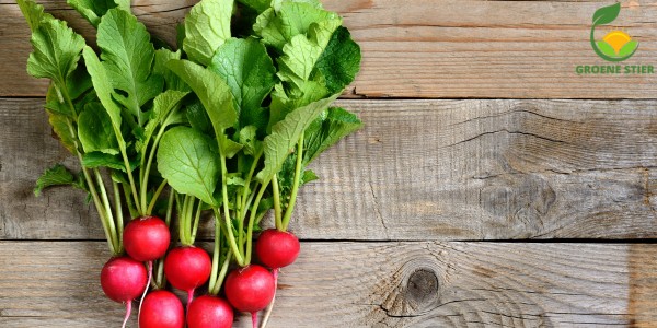 Hoe je Radijsjes Kweekt en Oogst in je Tuin